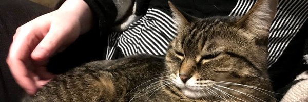 KamiAnya1 Profile Banner