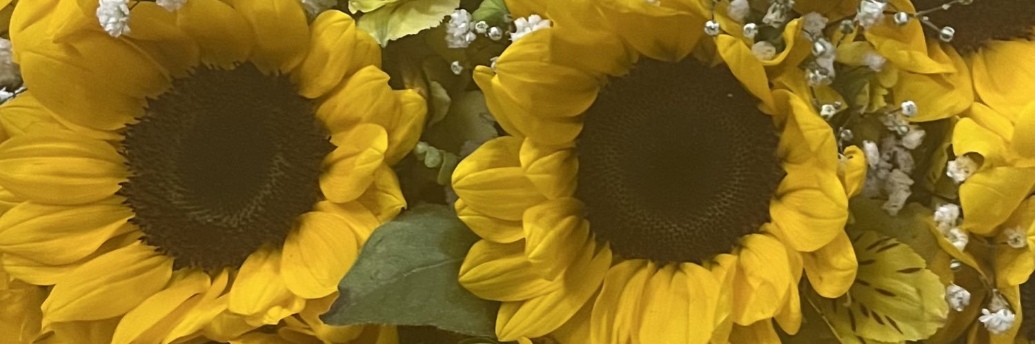 cohenlari's profile banner image