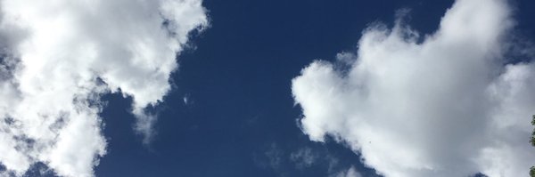 neuron Profile Banner