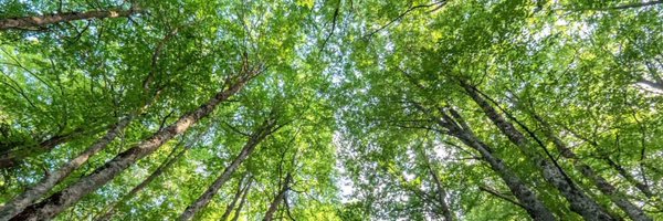 bulutuzay_ Profile Banner