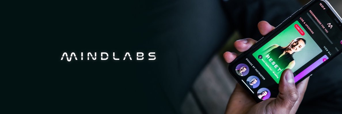 MindLabs banner