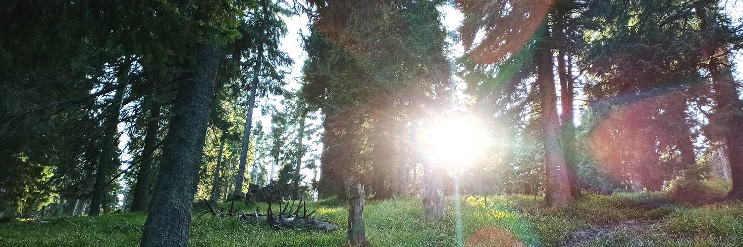 dragboyodoom's profile banner image