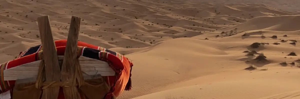 dssman_'s profile banner image