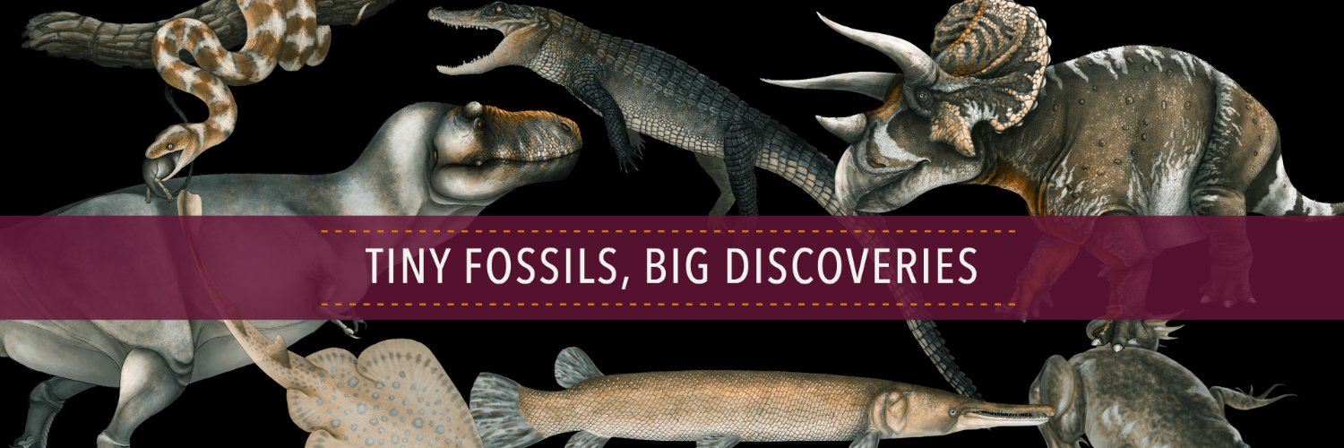 CretaceousCreatures banner