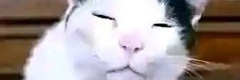 Elօղ Mմƙʂ. banner