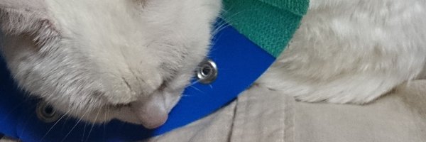 yuno3network Profile Banner