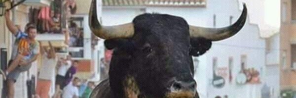 TxalaVillar's profile banner image