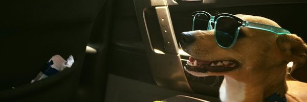 naticastillo_r Profile Banner