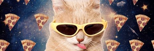 miemiemie banner