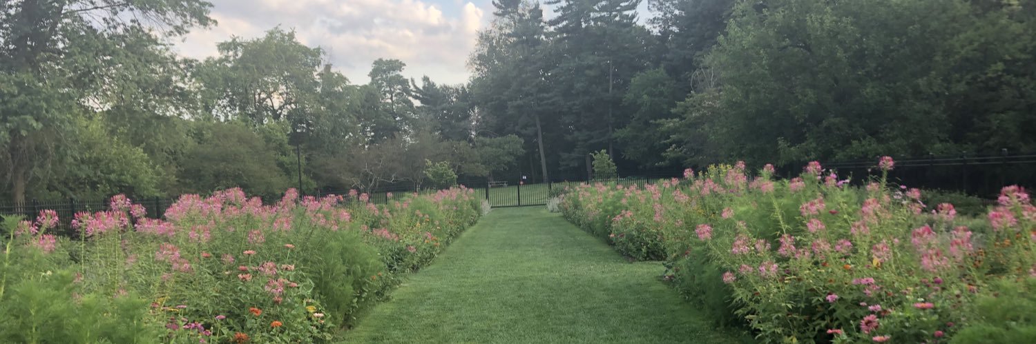 Tanmayee Bichile, MD banner