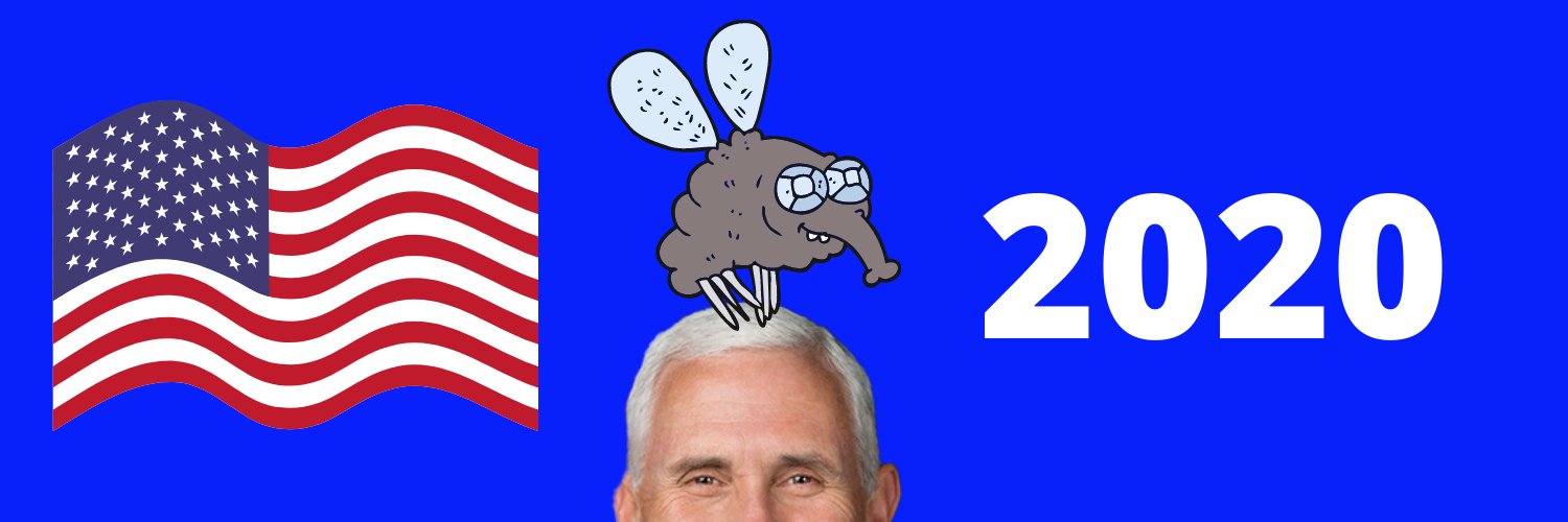 ThePenceHeadFly's profile banner image