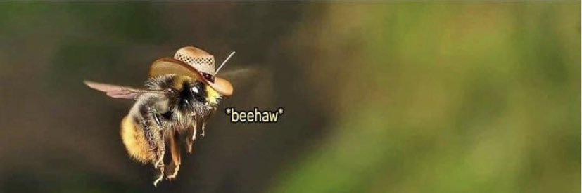 🎃👻Spoop Bee Ⓥ 🔞 banner