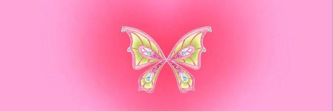 Z'✨️ banner