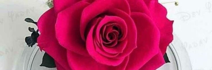 Suniel82's profile banner image