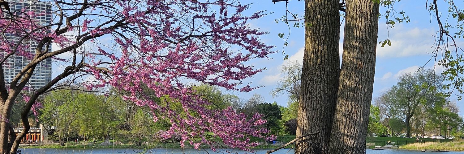 Lincoln Park Conservancy banner