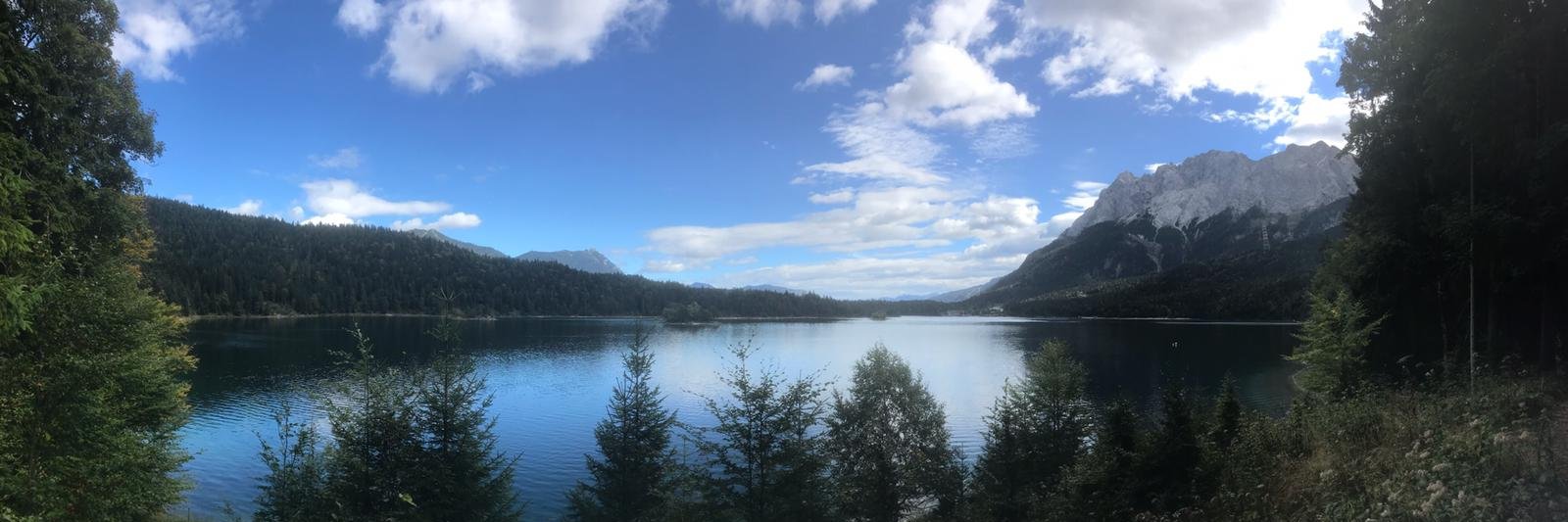 Jim Whitfield banner