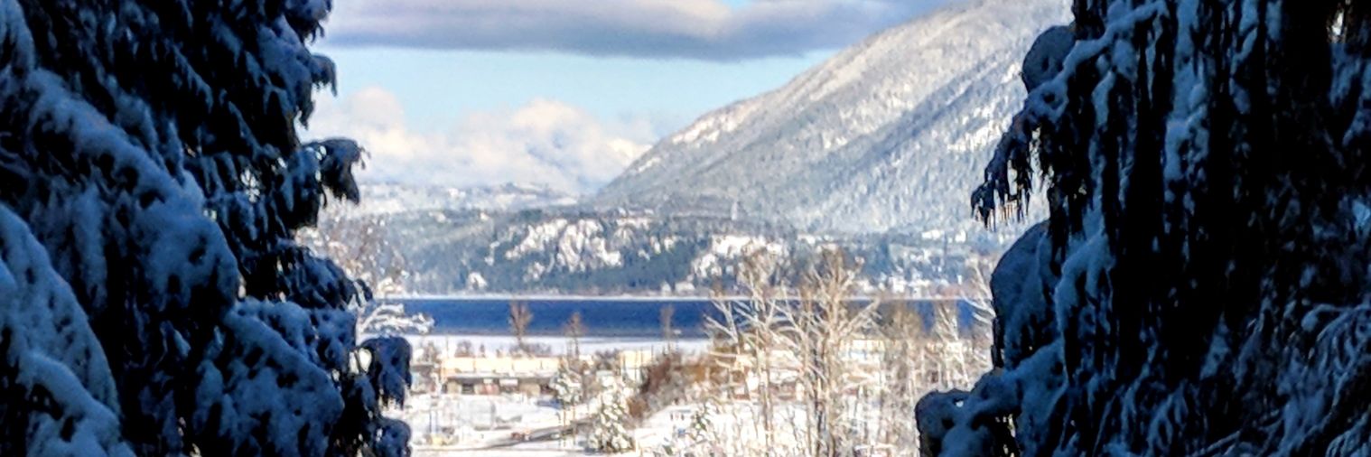 MarkDelleman's profile banner image