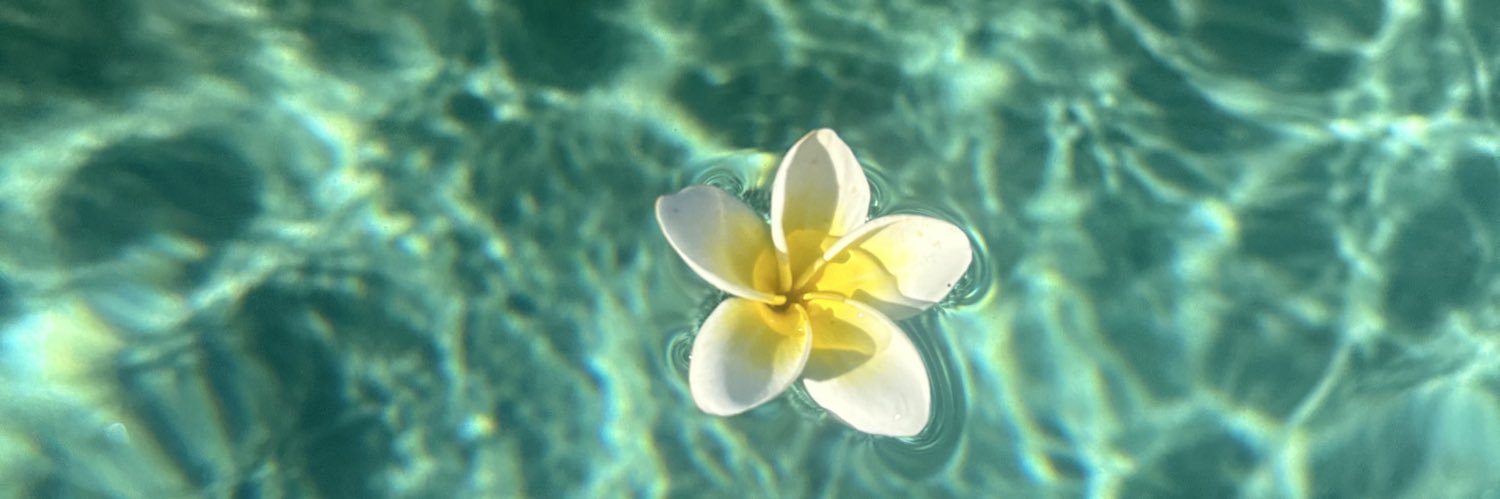 PerrineMetz's profile banner image