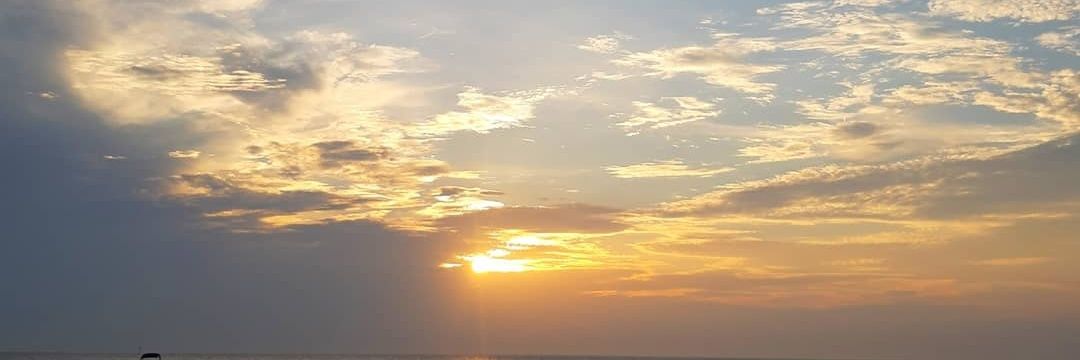_arita_'s profile banner image