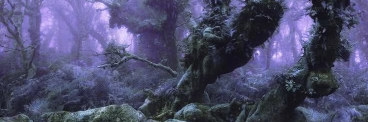 abbiuuuu's profile banner image