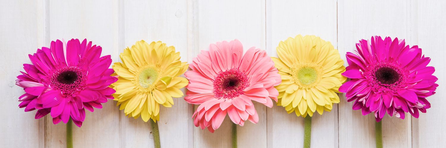 eunicearredondo's profile banner image