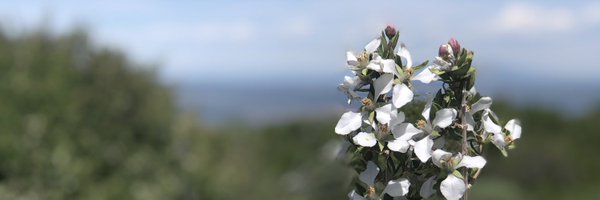 NeyAbby Profile Banner