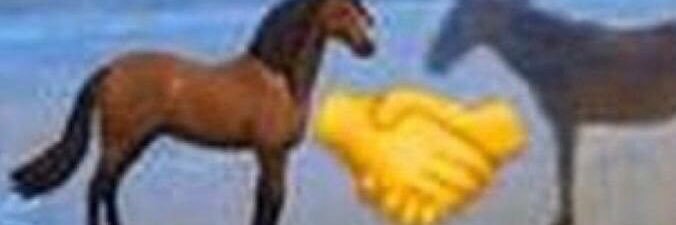 ouilliam banner