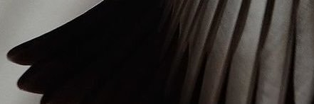 socksy_com's profile banner image