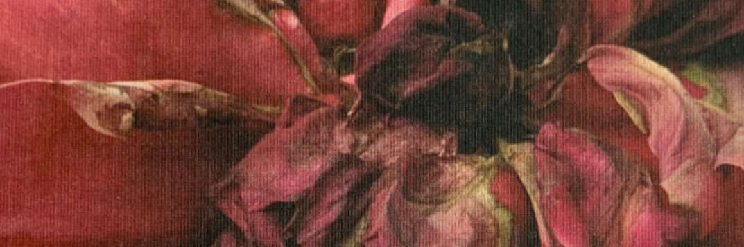 Veronica Alvarez banner