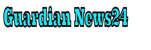 Guardian News24 banner