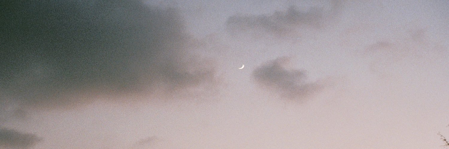 moonlightbIvd's profile banner image