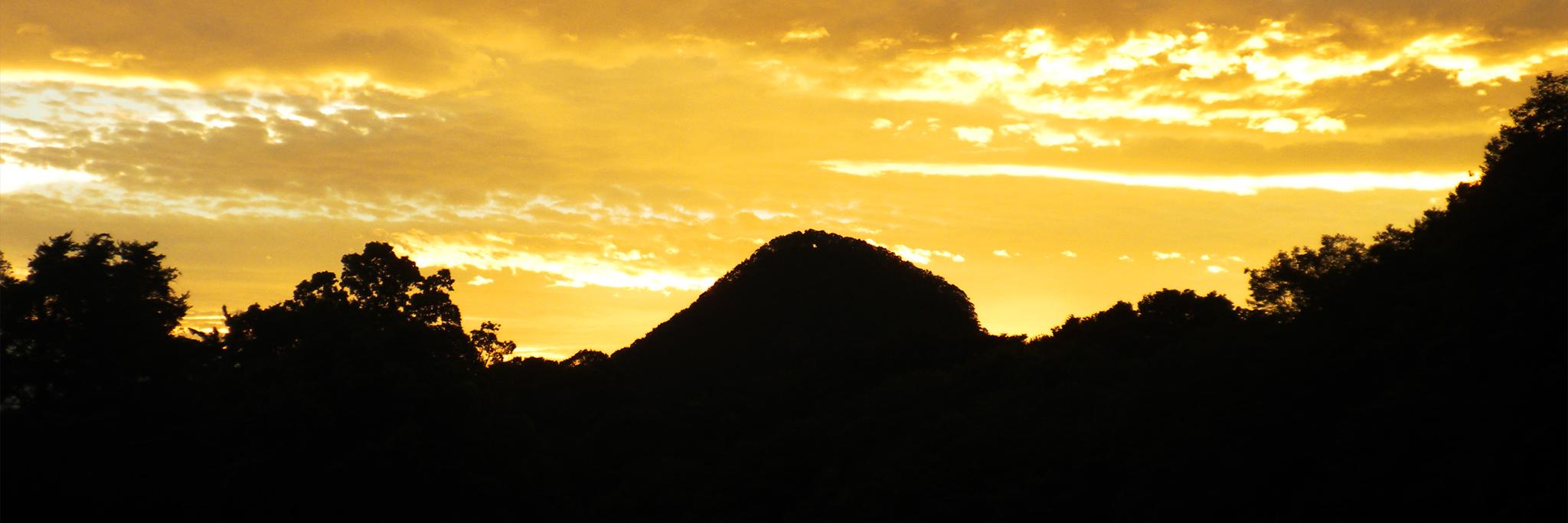 tk_nz's profile banner image