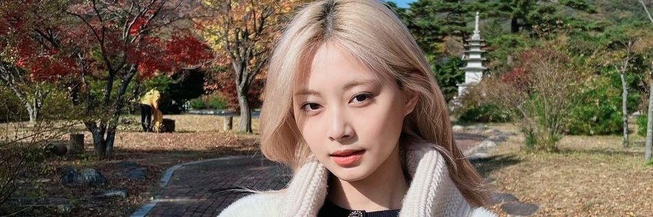 lextasy__'s profile banner image