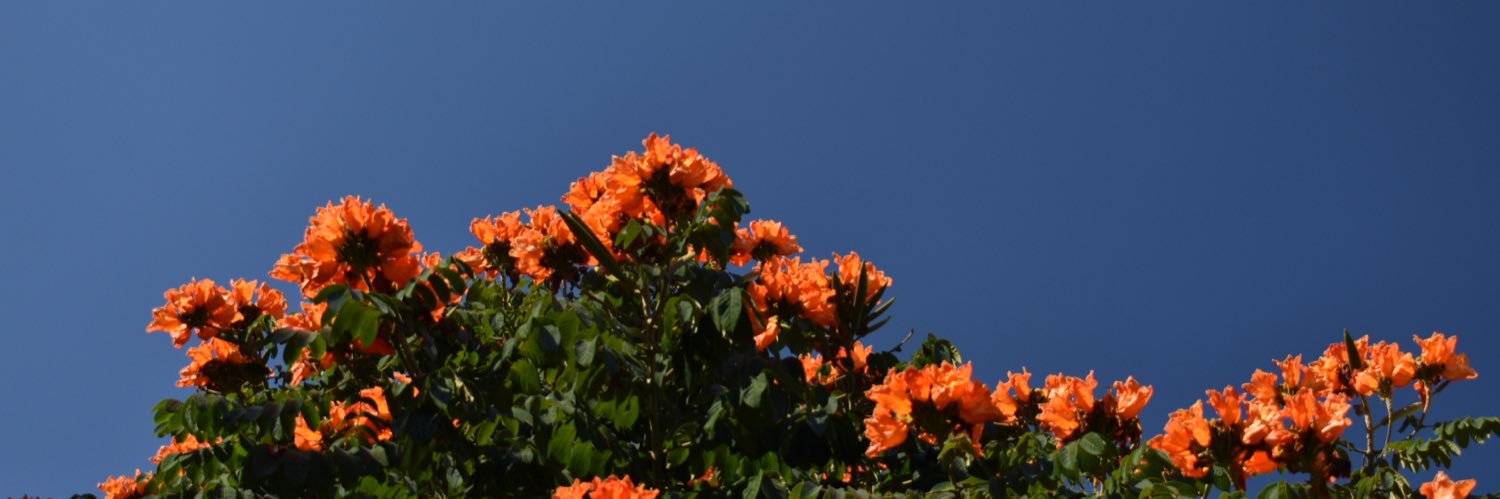valrebatet's profile banner image