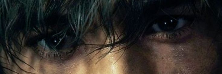 dan banner