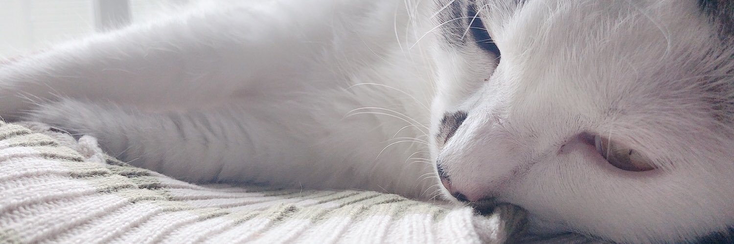 おかゆちゃん。 banner