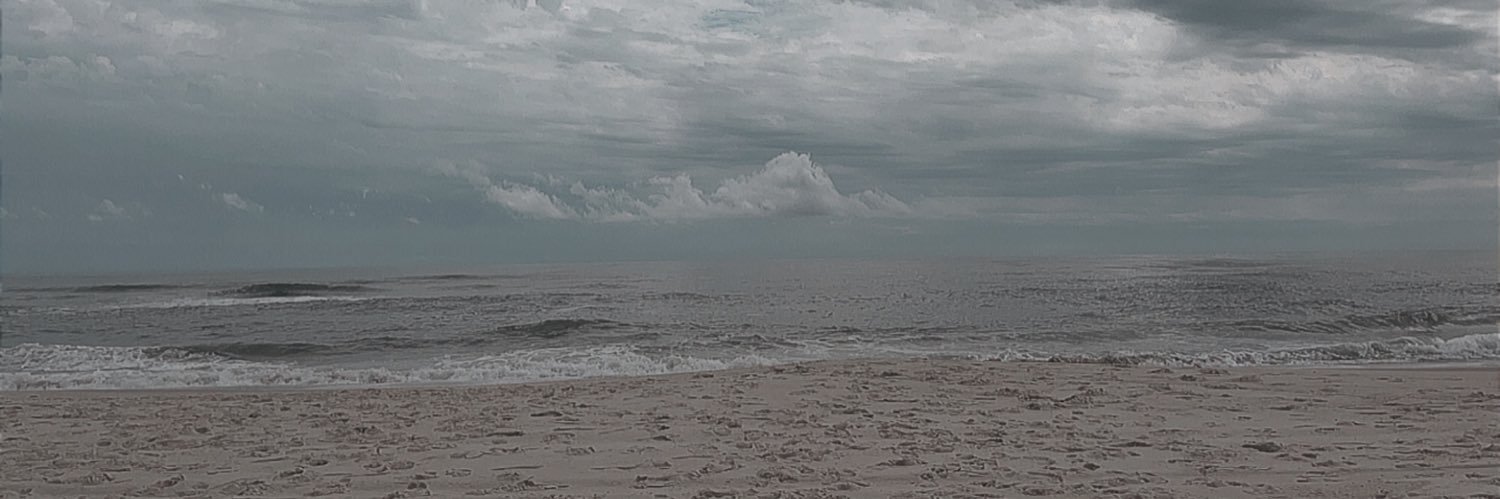 Miranda Ellars banner