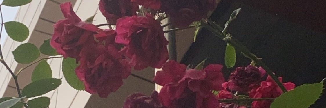 𝑭𝒂𝒍𝒍 banner