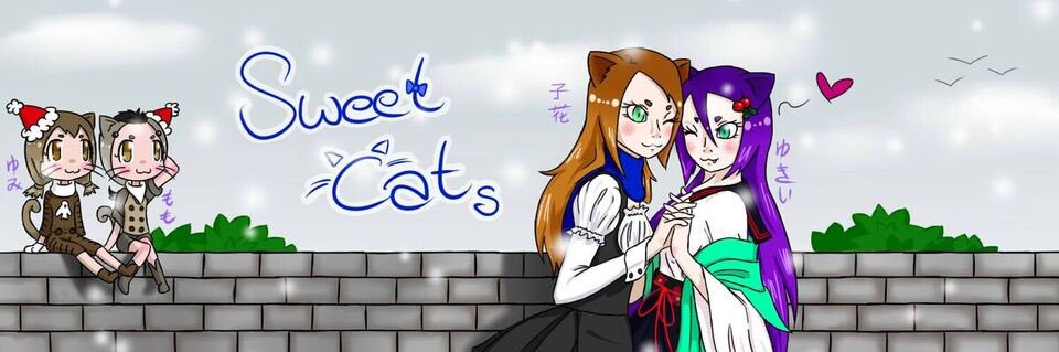 SweeetCaaat's profile banner image