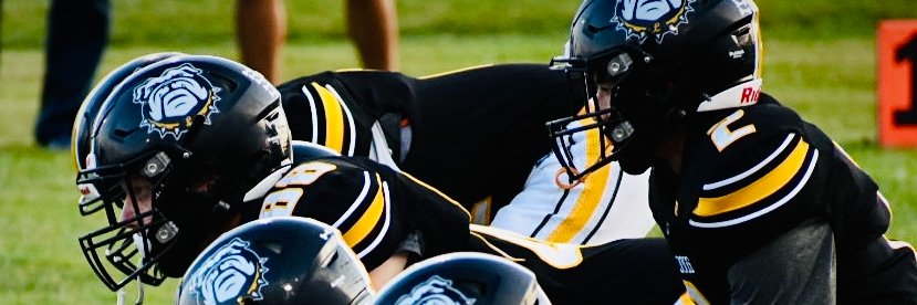 Linn Bulldog Power banner