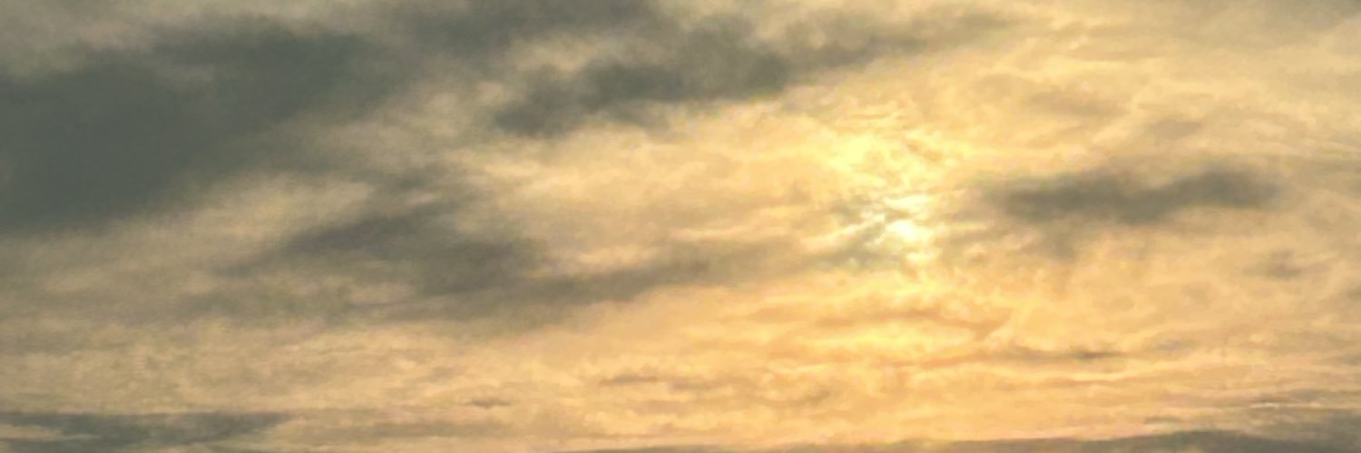 eva banner