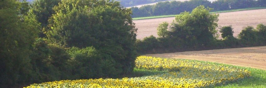 jcdrakegroup's profile banner image