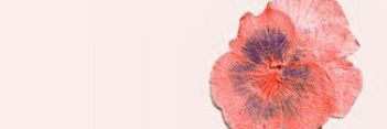 TuniHorst's profile banner image