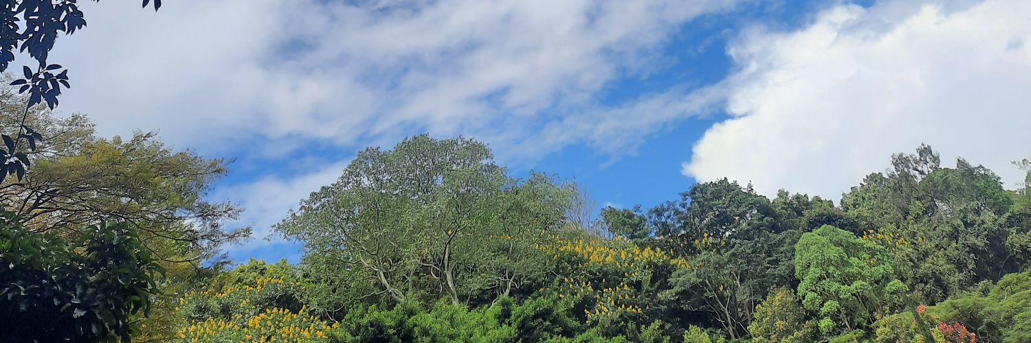 ossaputro's profile banner image