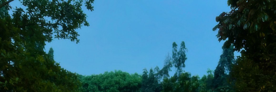 venusboyss's profile banner image