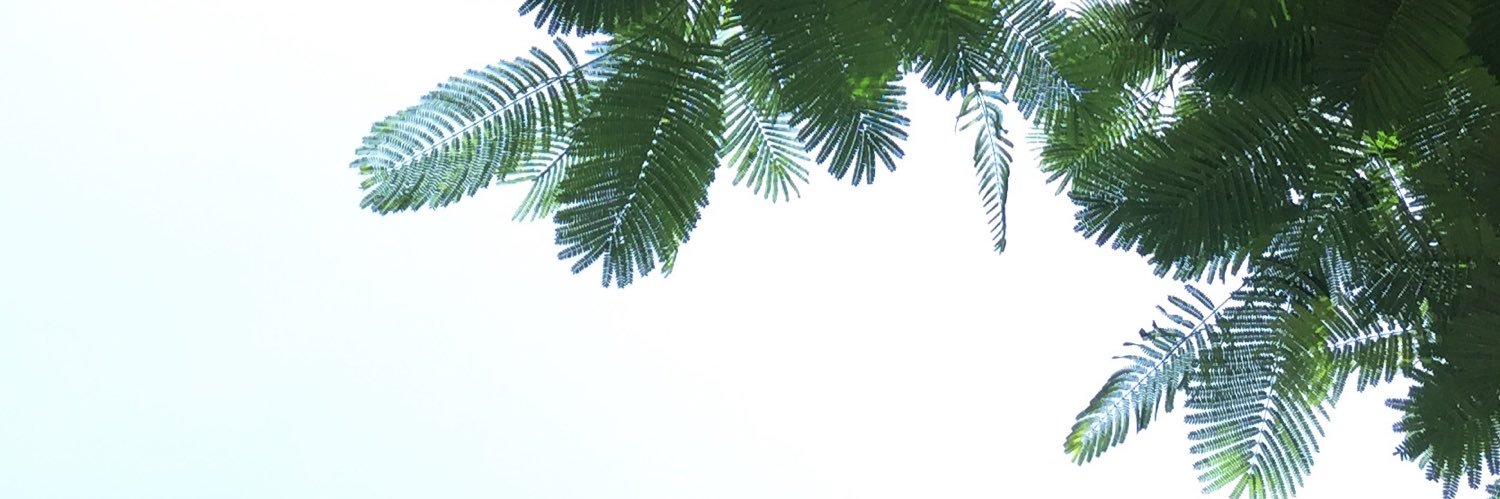 tb37709636's profile banner image