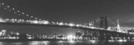 bir_panda0's profile banner image