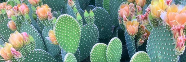 smithsxstyles Profile Banner