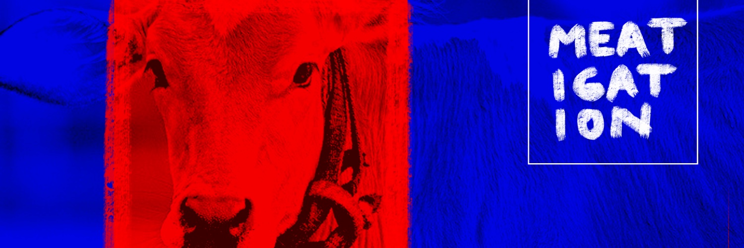 MEATigation banner