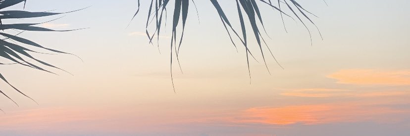 sabiaries's profile banner image
